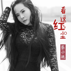 看这红尘 (DJ版)