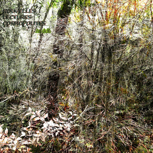 Atavistic Ceremony (Part 2)