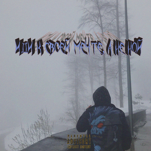 Иди к своей мечте и не ной