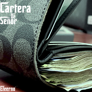 Cartera de Señor