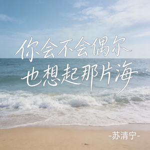 你会不会偶尔也想起那片海