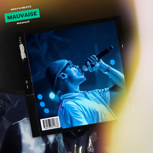 Mauvaise Mashup (Remix)