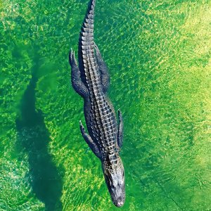 Like I Love You（3D 环绕版）（Salao remix）