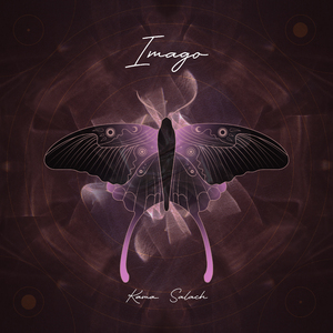 Daj mi znak (Radio Edit)