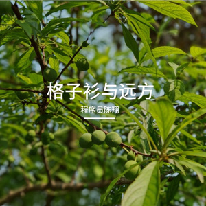 格子衫与远方