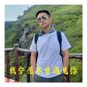 我宁愿不曾遇见你