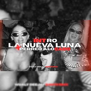 Intro La Nueva Luna + Perreo Alocado (feat. S4nti RMX)