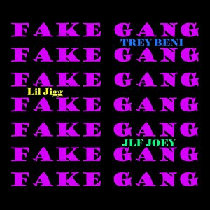 Fake Gang