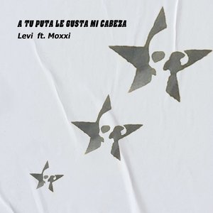 A Tú Puta Le Gusta Mi Cabeza