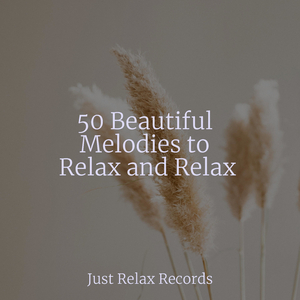 Echoes of Solitary Guardianship