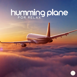 Airplane Buzzing