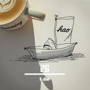 二十六岁的偏航指南