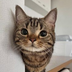 Make It Up To You (slowed)