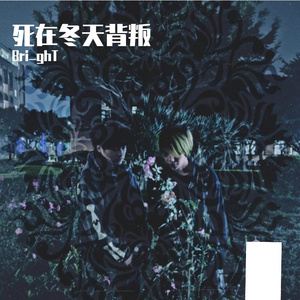 死在冬天背叛