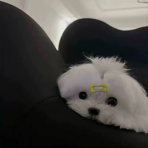 舒缓弦乐与钢琴铺陈的电影音质乐章
