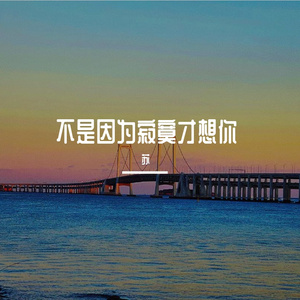 不是因为寂寞才想你