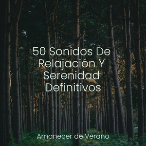 Melancólico Espejismo de Fuego