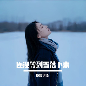 还没等到雪落下来 伴奏