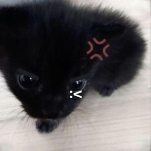 wiith u (feat. killslumpy)