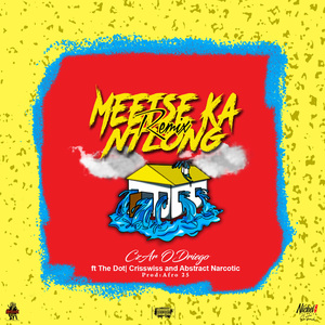 Meetse Ka Ntlong (Remix)