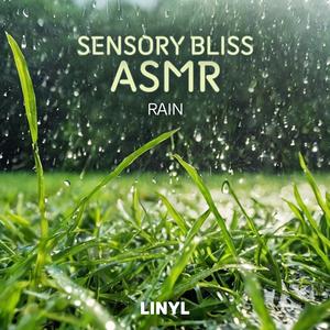 요란한 비가 내리는 아침