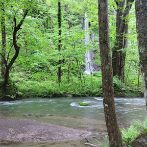 Dear My Friend (feat. 初音ミク)