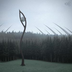 Enjoying scenery alone