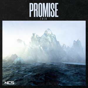 Promise