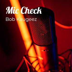 Mic Check
