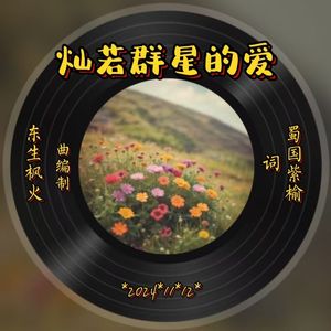 灿若群星的爱