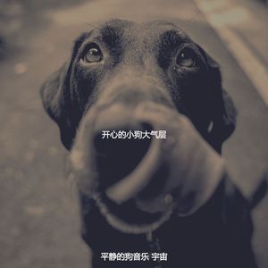 精彩放松的狗环境