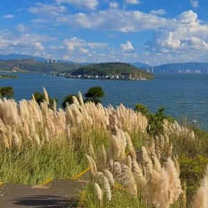 你好，下次再见的温柔告别