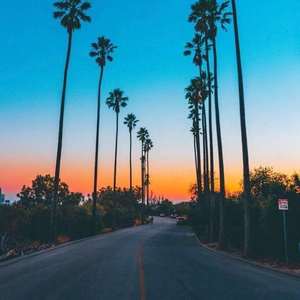 【FREE】“Whole”