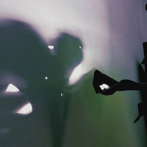 最后的归宿是自我