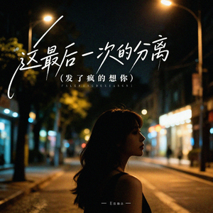 这最后一次的分离 (发了疯的想你)