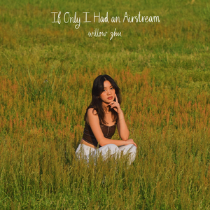 If Only I Had an Airstream