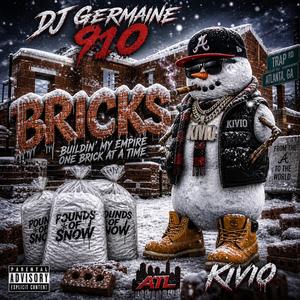 Bricks