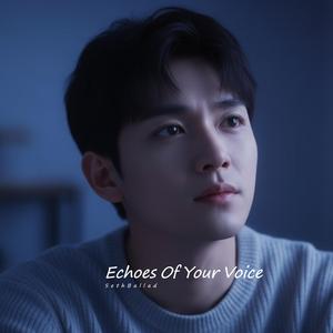 Echoes Of Your Voice