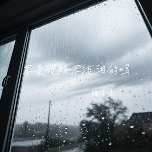 不是说好不流泪的吗