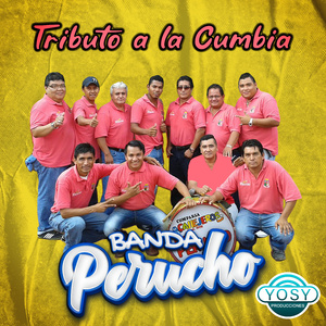 Ojala no te hubiera conocido nunca