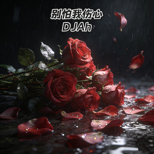 别怕我伤心 (DJAh Remix)