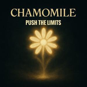 Sınırları Zorla - (Push The Limit Soundtrack)