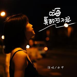 嗨 真的对不起 (伴奏)