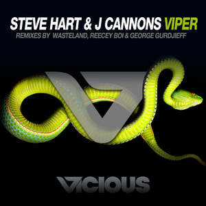 Viper (Reecey Boi Remix)