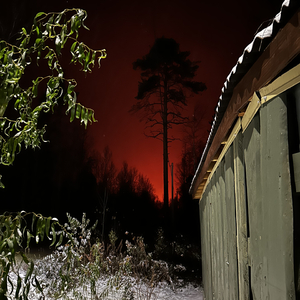 обретая теряй..