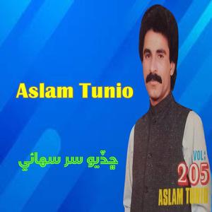 Deh Dukhye Jo Dutriyal Manhoon Khae Pait Bhare