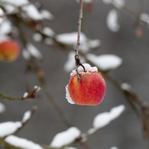 尘尽光生 (空灵版)