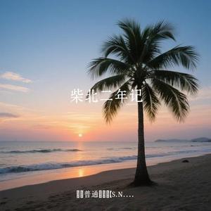 在清醒时孤独