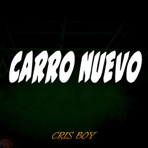 CARRO NUEVO