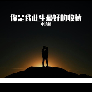 你是我此生最好的收藏